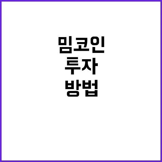 밈코인 투자하려면 이렇게 확인하고 들어가는 방법 - 요약