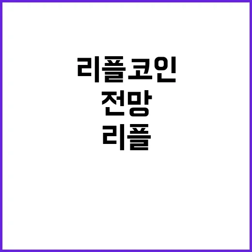 리플코인전망 직접 판단하는 방법, 초보자는 이렇게 봅니다 - 요약