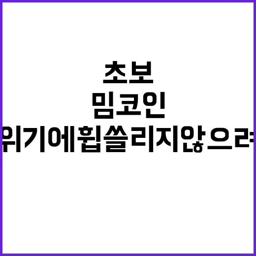 밈코인 투자하는 방법: 초보가 분위기에 휩쓸리지 않으려면 이렇게 본다 - 요약