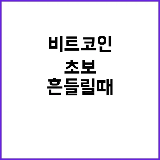 비트코인가격 흔들릴 때 초보가 직접 판단하는 방법 - 요약