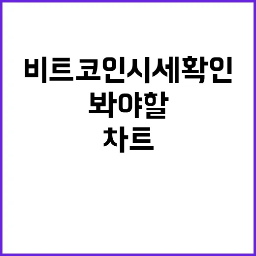비트코인시세 확인하는 방법, 초보가 차트보다 먼저 봐야 할 것들 - 요약