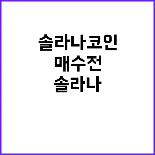 솔라나코인 초보자가 매수 전에 직접 확인하는 방법 - 요약
