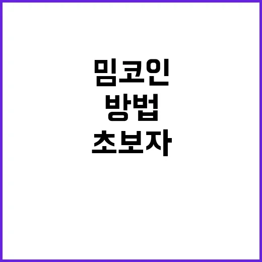 밈코인 사려면 이렇게 확인하세요: 초보자가 손실 줄이는 방법 - 요약