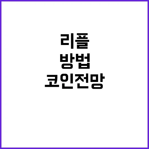 리플코인전망 보려면 이렇게 확인하는 방법 - 요약