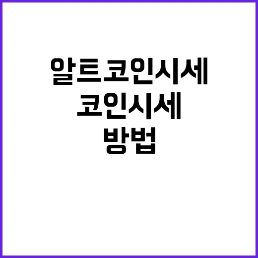 알트코인시세 보려면 이렇게: 초보가 흔들리지 않는 확인 방법 - 요약
