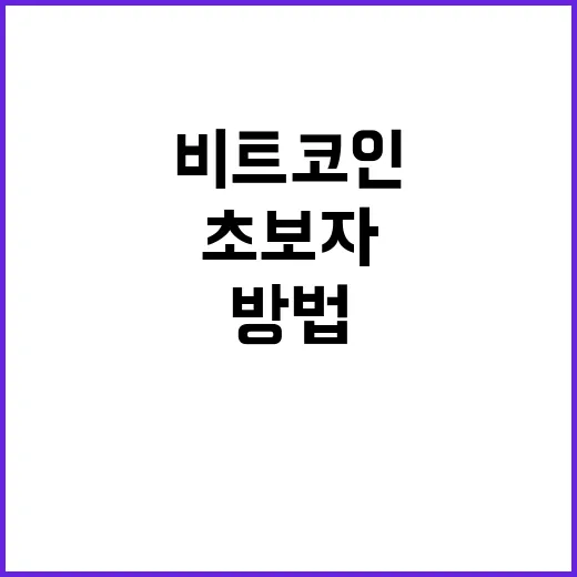 비트코인전망 직접 판단하는 방법: 초보자가 가격보다 먼저 볼 것들 - 요약
