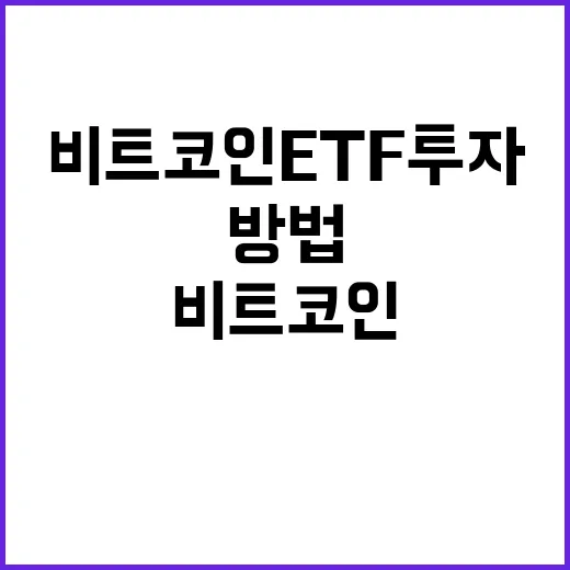 비트코인ETF 투자하려면 이렇게 확인하는 방법 - 요약