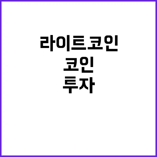 라이트코인 투자하려면 이렇게 확인하고 접근하는 방법 - 요약