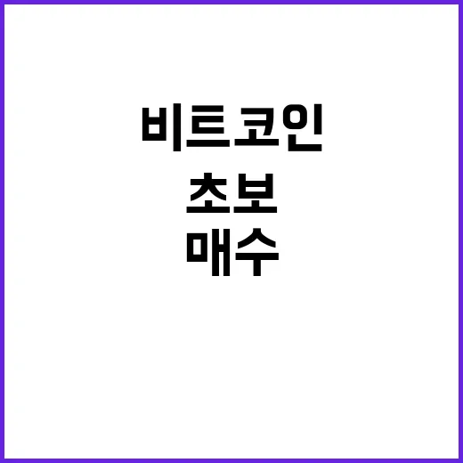 비트코인 초보가 분위기에 휩쓸리지 않고 매수하는 방법 - 요약
