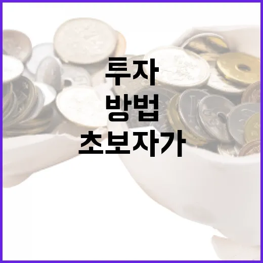 코인 투자에서 오래 살아남는 방법: 초보자가 먼저 잡아야 할 기준 - 요약