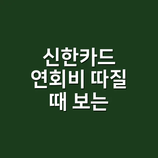 신한카드 연회비 따질 때 보는 5가지 계산 기준 - 요약