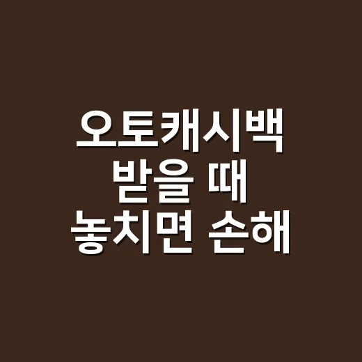 오토캐시백 받을 때 놓치면 손해 보는 5가지 계산 포인트 - 요약