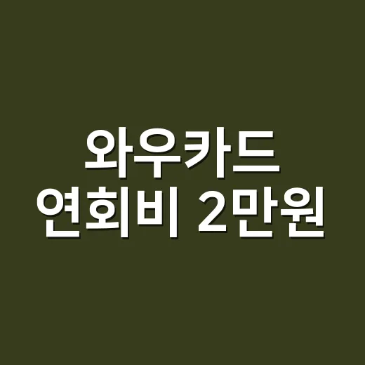 와우카드 연회비 2만원, 손익분기 소비액 3가지로 계산 - 요약