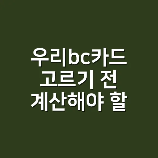 우리bc카드 고르기 전 계산해야 할 4가지 숫자 - 요약