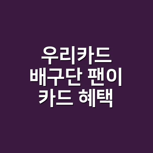 우리카드 배구단 팬이 카드 혜택 계산할 때 보는 4가지 - 요약