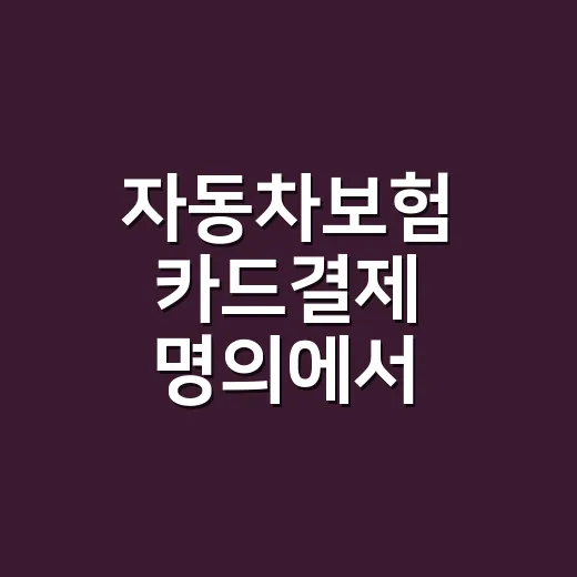 자동차보험 카드결제 명의에서 막히는 5가지 경우 - 요약