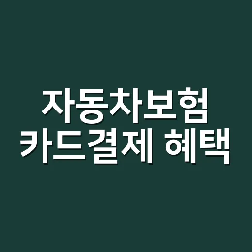 자동차보험 카드결제 혜택, 실제로 이득 보는 5가지 계산법 - 요약