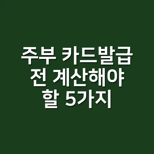 주부 카드발급 전 계산해야 할 5가지 기준 - 요약