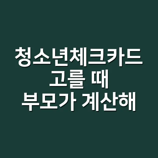 청소년체크카드 고를 때 부모가 계산해야 할 5가지 - 요약