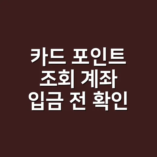 카드 포인트 조회 계좌 입금 전 확인할 5가지 계산법 - 요약