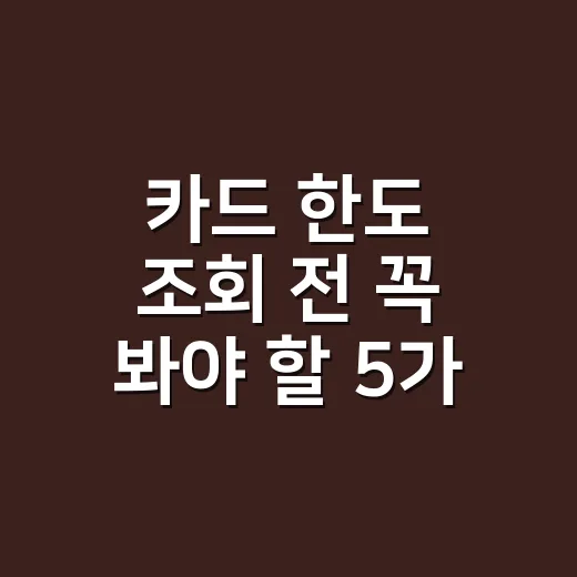 카드 한도 조회 전 꼭 봐야 할 5가지 계산 포인트 - 요약