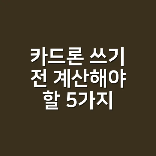카드론 쓰기 전 계산해야 할 5가지 숫자 - 요약