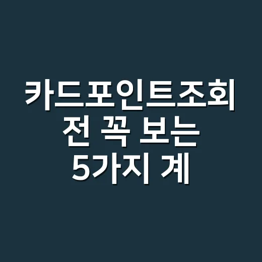 카드포인트조회 전 꼭 보는 5가지 계산법 - 요약