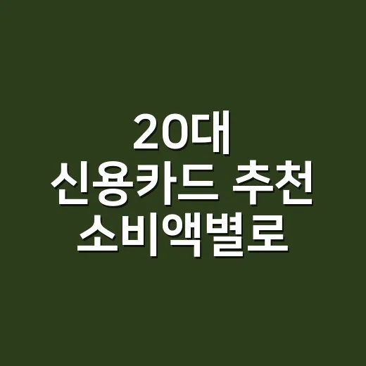 20대 신용카드 추천 소비액별로 고르는 3단계 - 요약