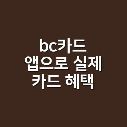 bc카드 앱으로 실제 카드 혜택 계산하는 4단계 - 요약