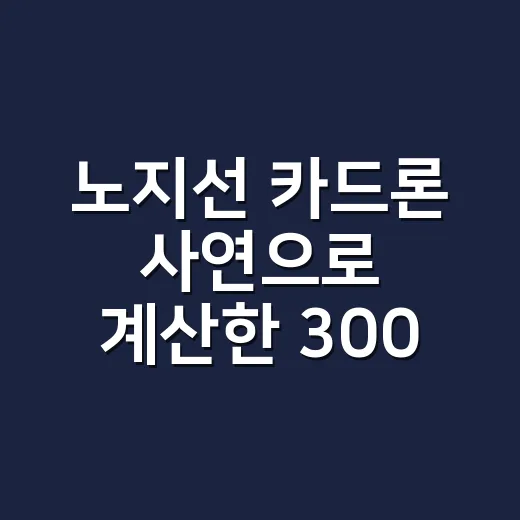 노지선 카드론 사연으로 계산한 300만원의 3가지 비용 - 요약