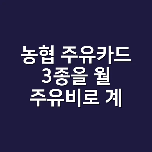 농협 주유카드 3종을 월 주유비로 계산해봤다 - 요약