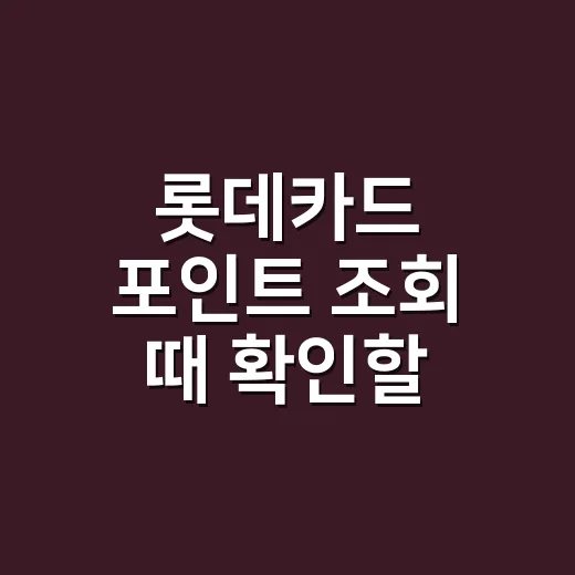 롯데카드 포인트 조회 때 확인할 4가지 - 요약