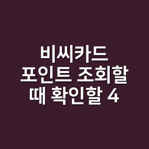 비씨카드 포인트 조회할 때 확인할 4가지 - 요약