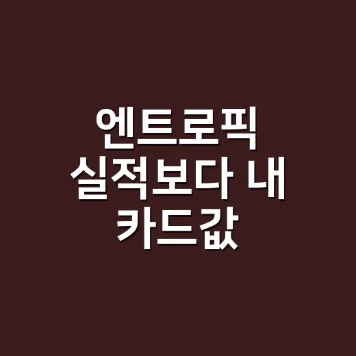 엔트로픽 실적보다 내 카드값 3가지가 먼저다 - 요약