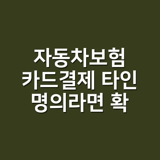 자동차보험 카드결제 타인 명의라면 확인할 4가지 - 요약