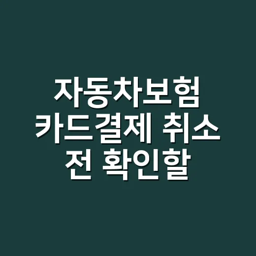 자동차보험 카드결제 취소 전 확인할 4가지 - 요약