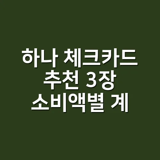 하나 체크카드 추천 3장 소비액별 계산 - 요약