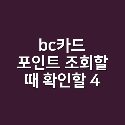 bc카드 포인트 조회할 때 확인할 4가지 숫자 - 요약