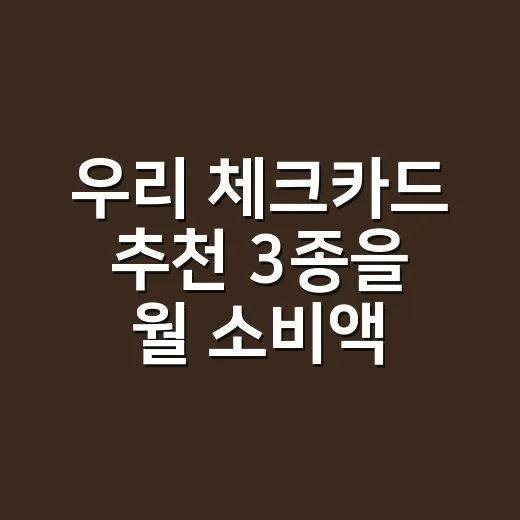 우리 체크카드 추천 3종을 월 소비액으로 계산했다 - 요약