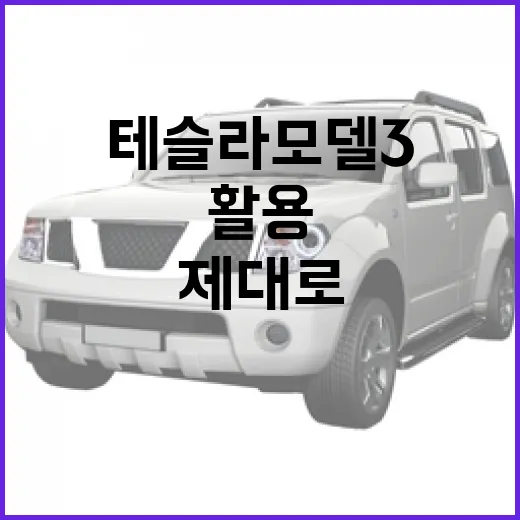 테슬라 모델3를 제대로 활용하는 법 - 요약