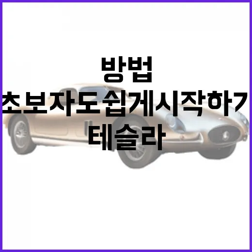 테슬라를 최대한 활용하는 방법: 초보자도 쉽게 시작하기 - 요약