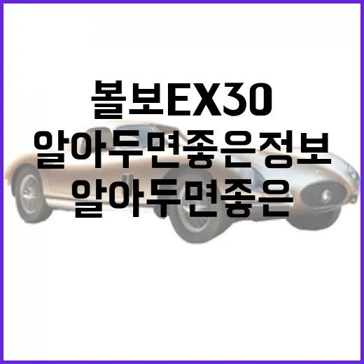 볼보 EX30, 알아두면 좋은 정보들 - 요약