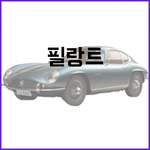 필랑트를 활용한 스타일링 방법 - 요약