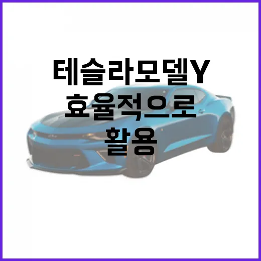 테슬라 모델 Y, 어떻게 효율적으로 활용할까? - 요약