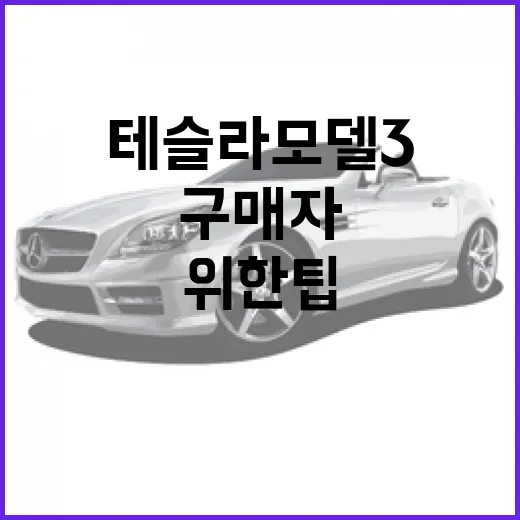 테슬라 모델3, 첫 구매자를 위한 팁 - 요약