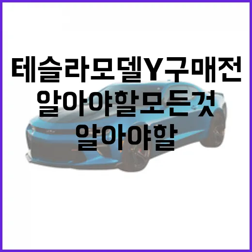 테슬라 모델Y 구매 전 알아야 할 모든 것 - 요약