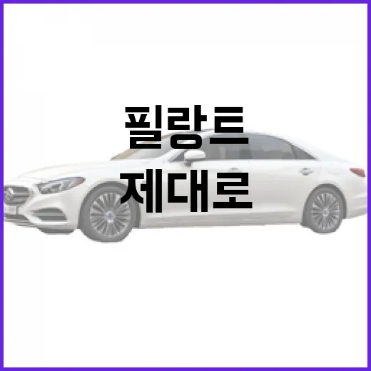 필랑트를 제대로 이해하고 활용하는 법 - 요약