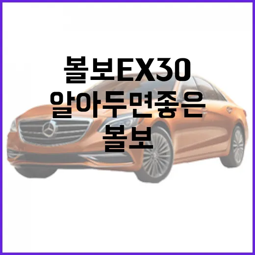 볼보 EX30, 알아두면 좋은 매력 포인트 - 요약