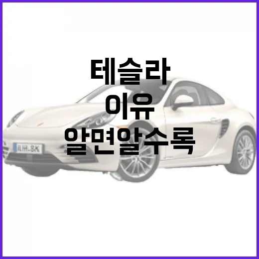 테슬라를 알면 알수록 흥미로운 이유 - 요약