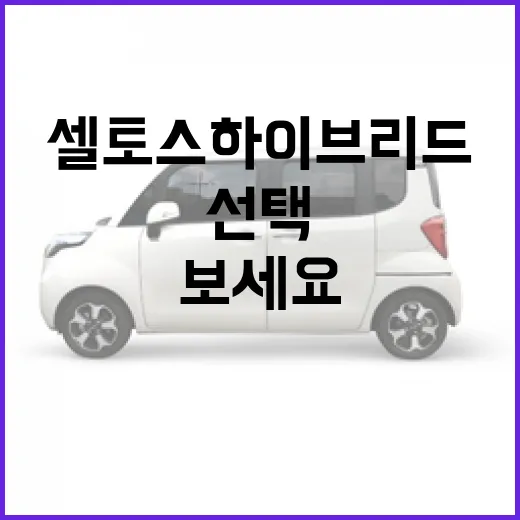셀토스 하이브리드, 이렇게 선택해보세요! - 요약
